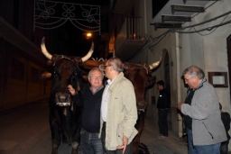 Calatafimi - Segesta499.JPG